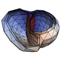 Image of a modeled heart