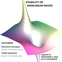 Image of the poster of this summer school